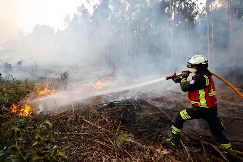 Los bomberos, trabajando sobre el terreno.