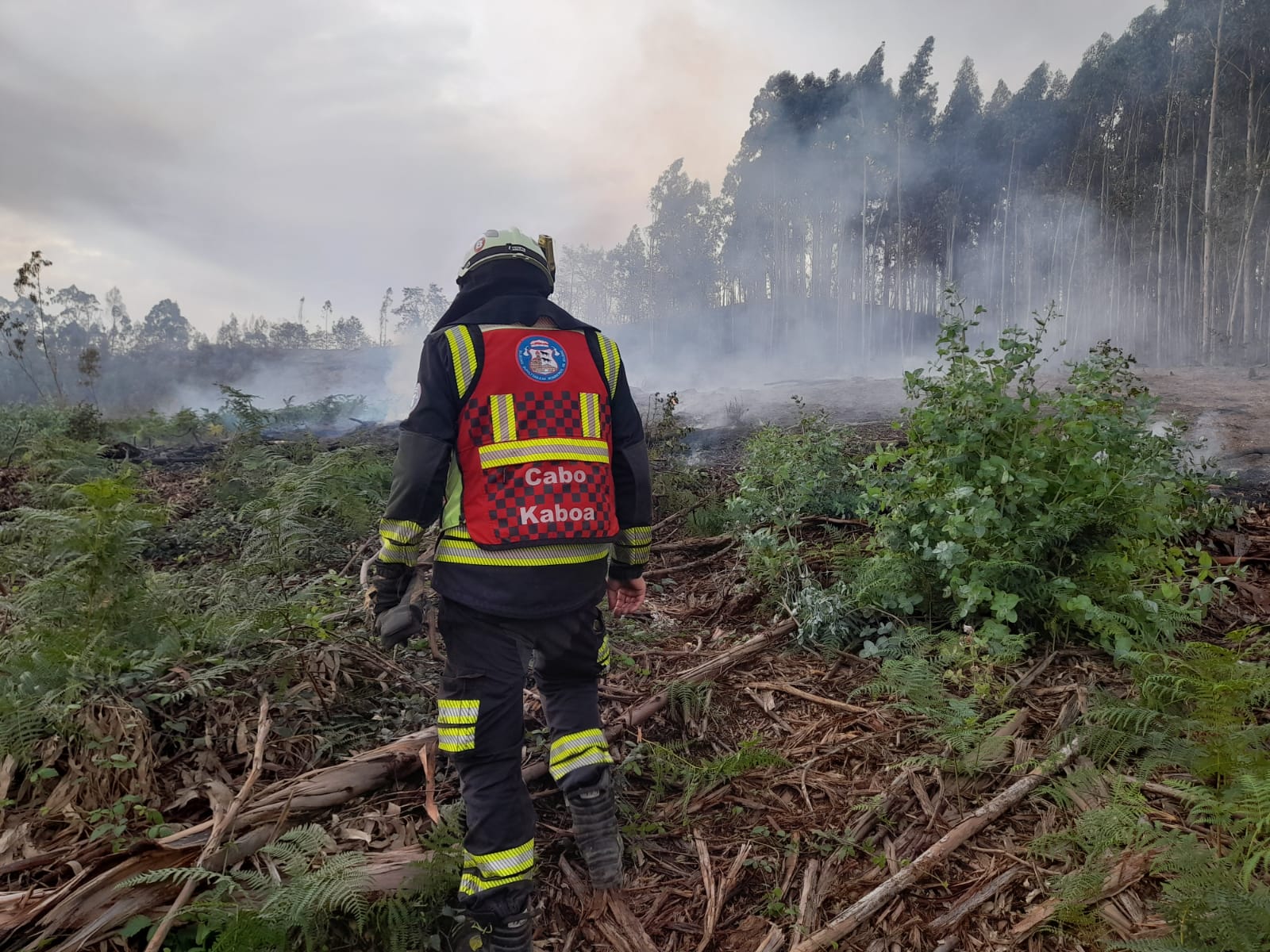 Los bomberos, trabajando sobre el terreno.