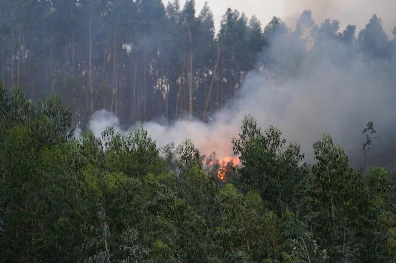 Incendio en Berango.