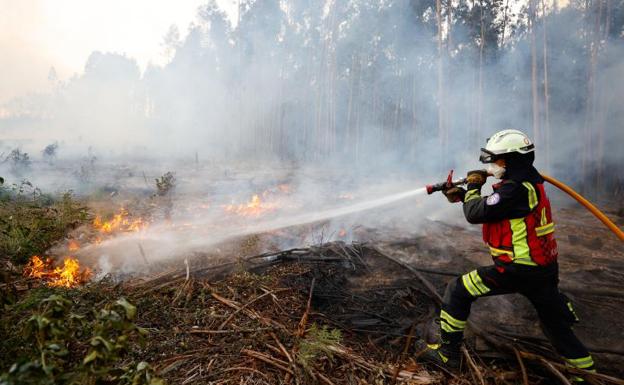 Vídeos de los incendios en Berango, La Arboleda y Loiu