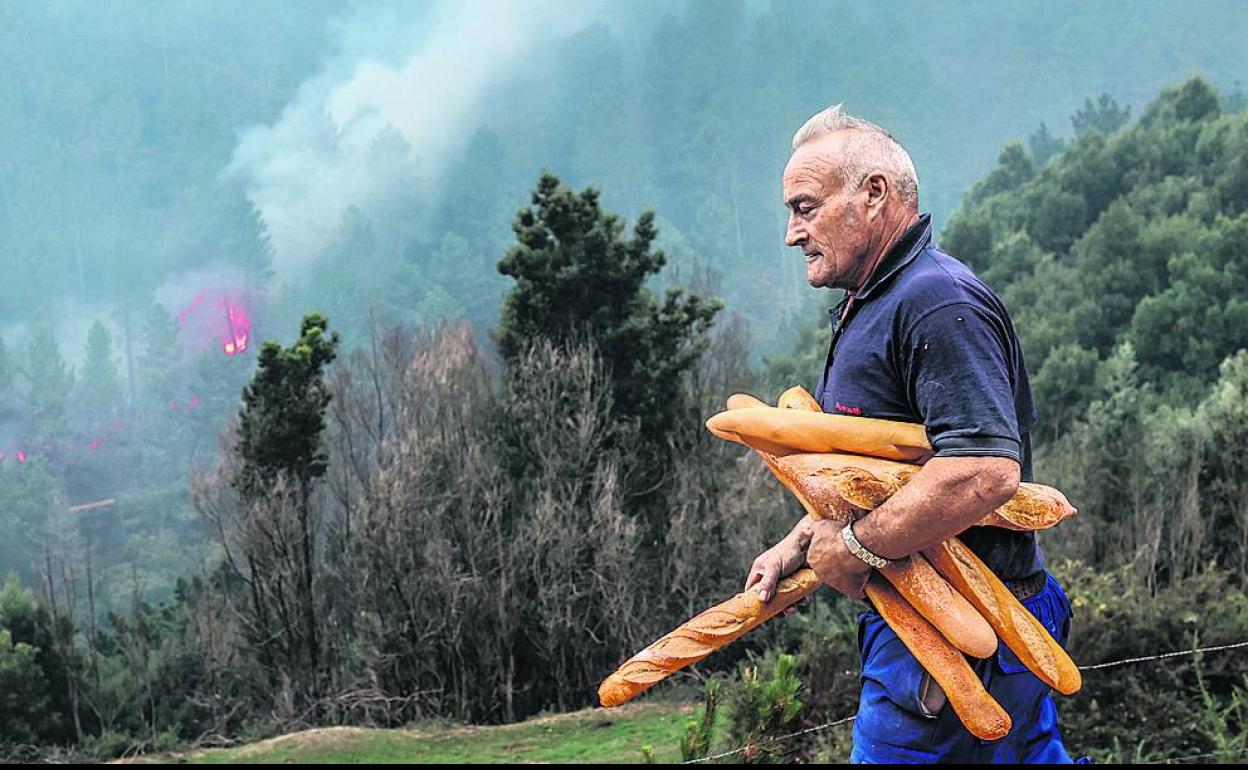 Un ganadero se prepara para lanzar barras de pan a sus vacas para atraerlas a una zona segura en La Arboleda.