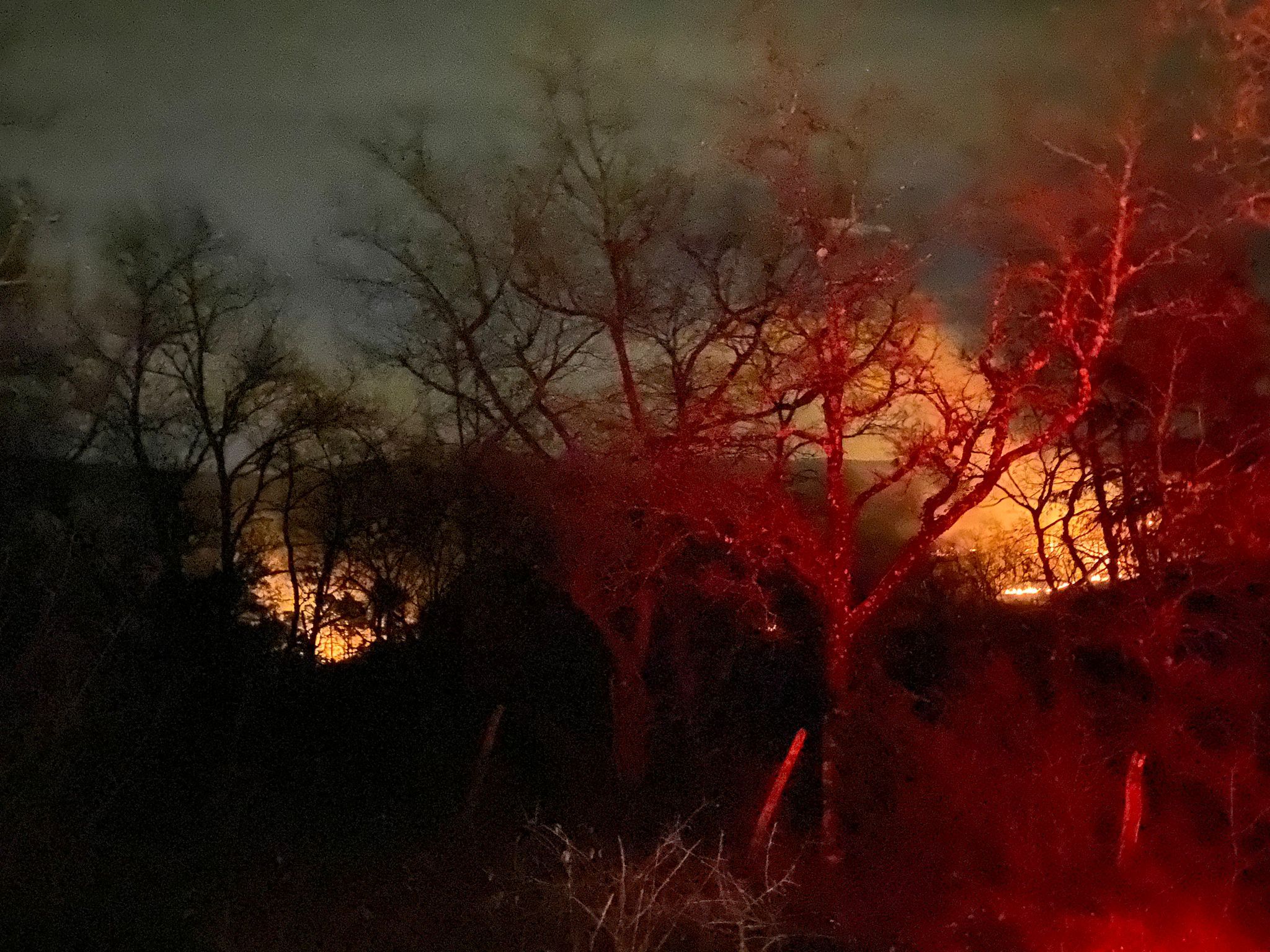 Fotos: Un incendio en Madaria afecta a las faldas de la Sierra Salvada