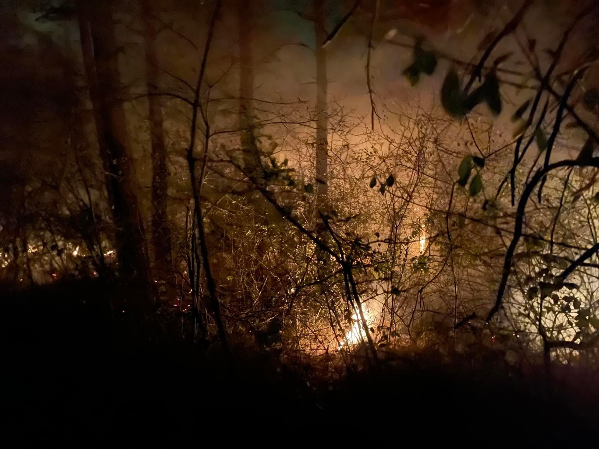 Fotos: Un incendio en Madaria afecta a las faldas de la Sierra Salvada
