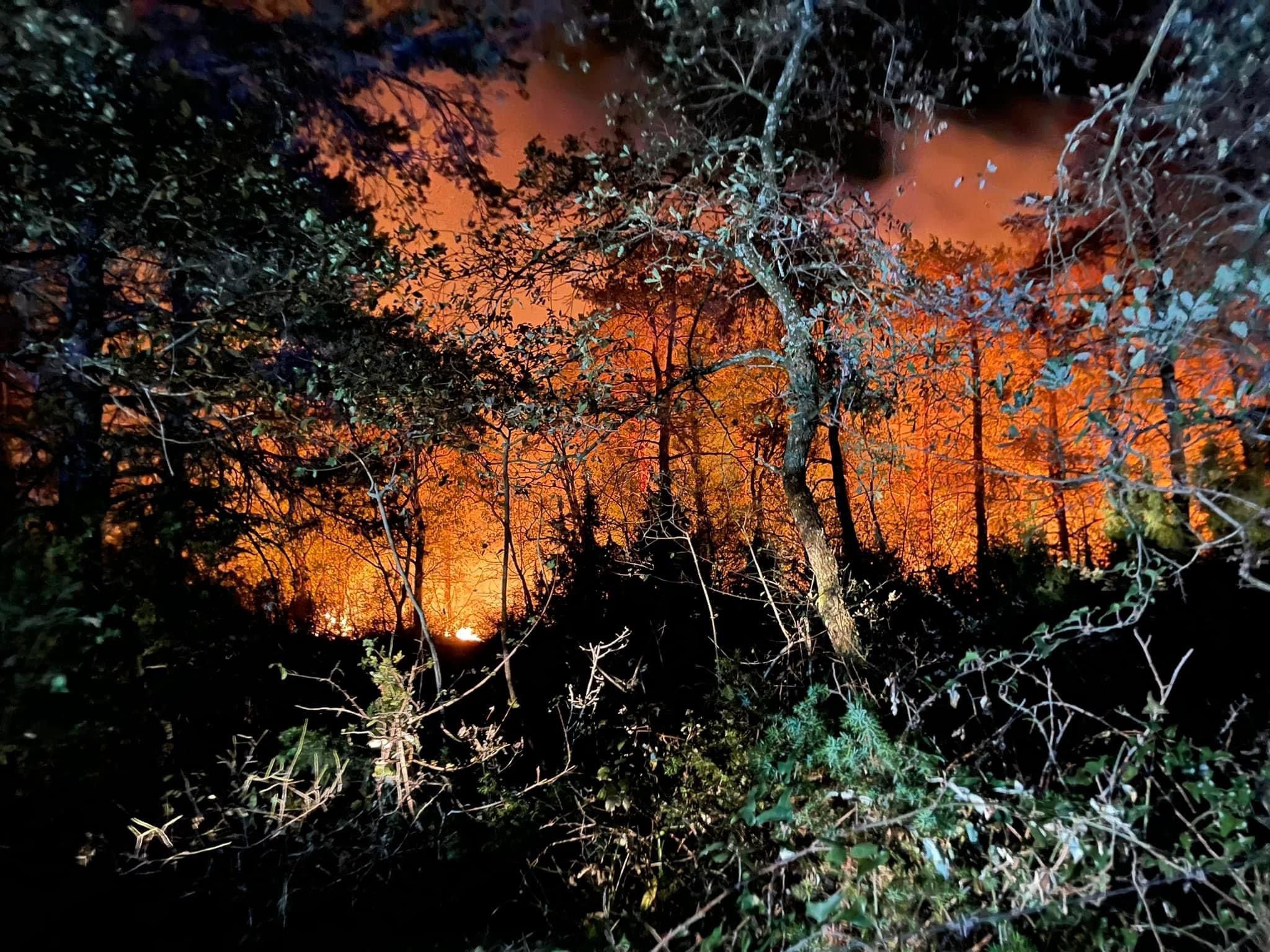 Fotos: Un incendio en Madaria afecta a las faldas de la Sierra Salvada