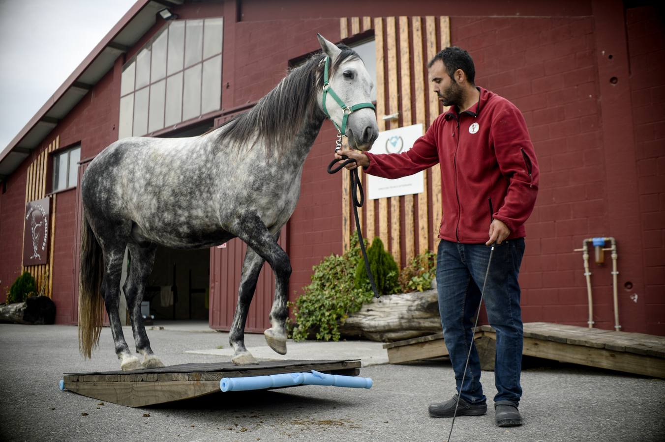 Fotos: Un &#039;spa&#039; para caballos en Euskadi