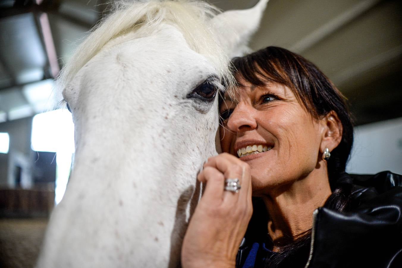 Fotos: Un &#039;spa&#039; para caballos en Euskadi