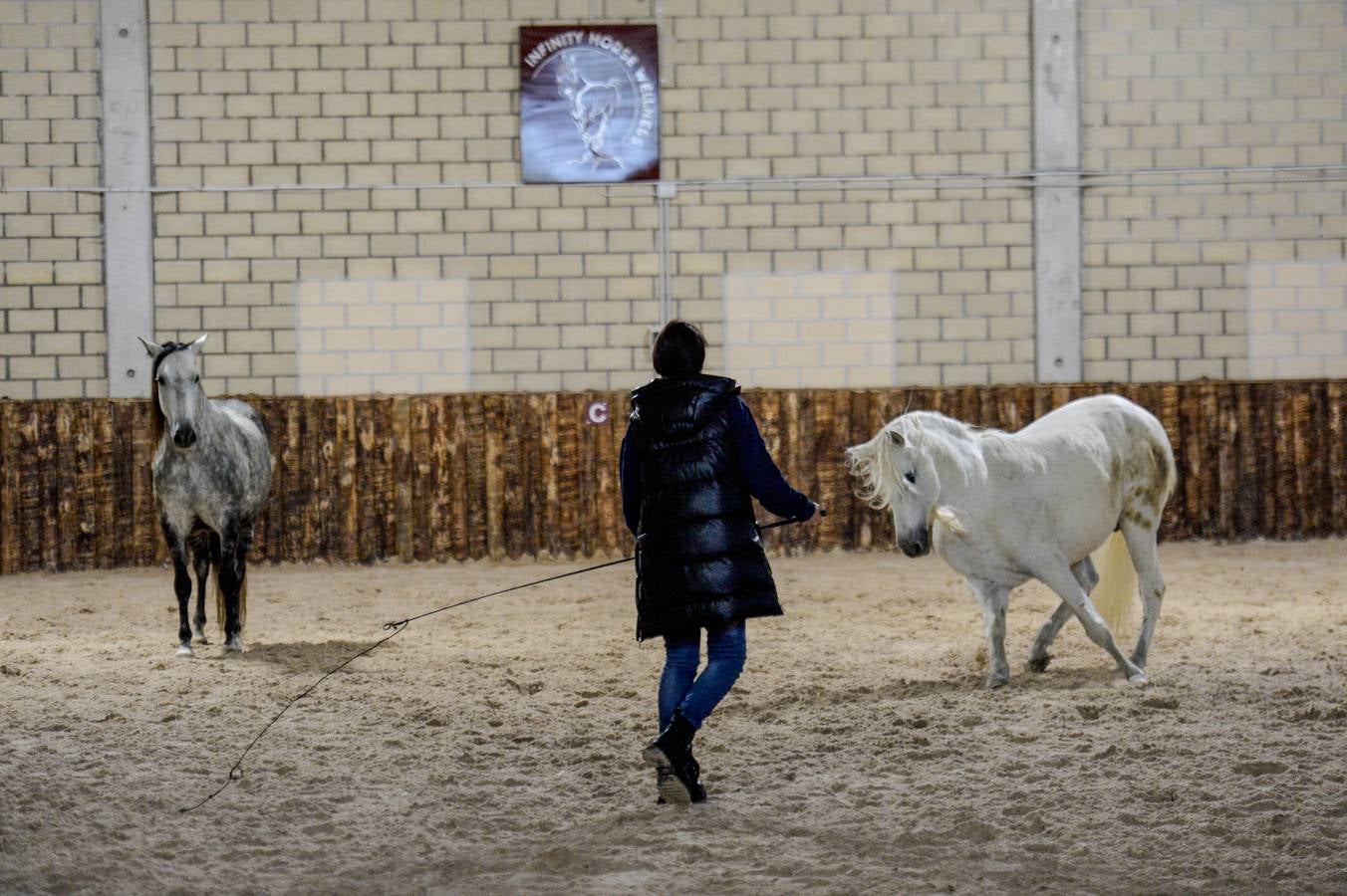 Fotos: Un &#039;spa&#039; para caballos en Euskadi