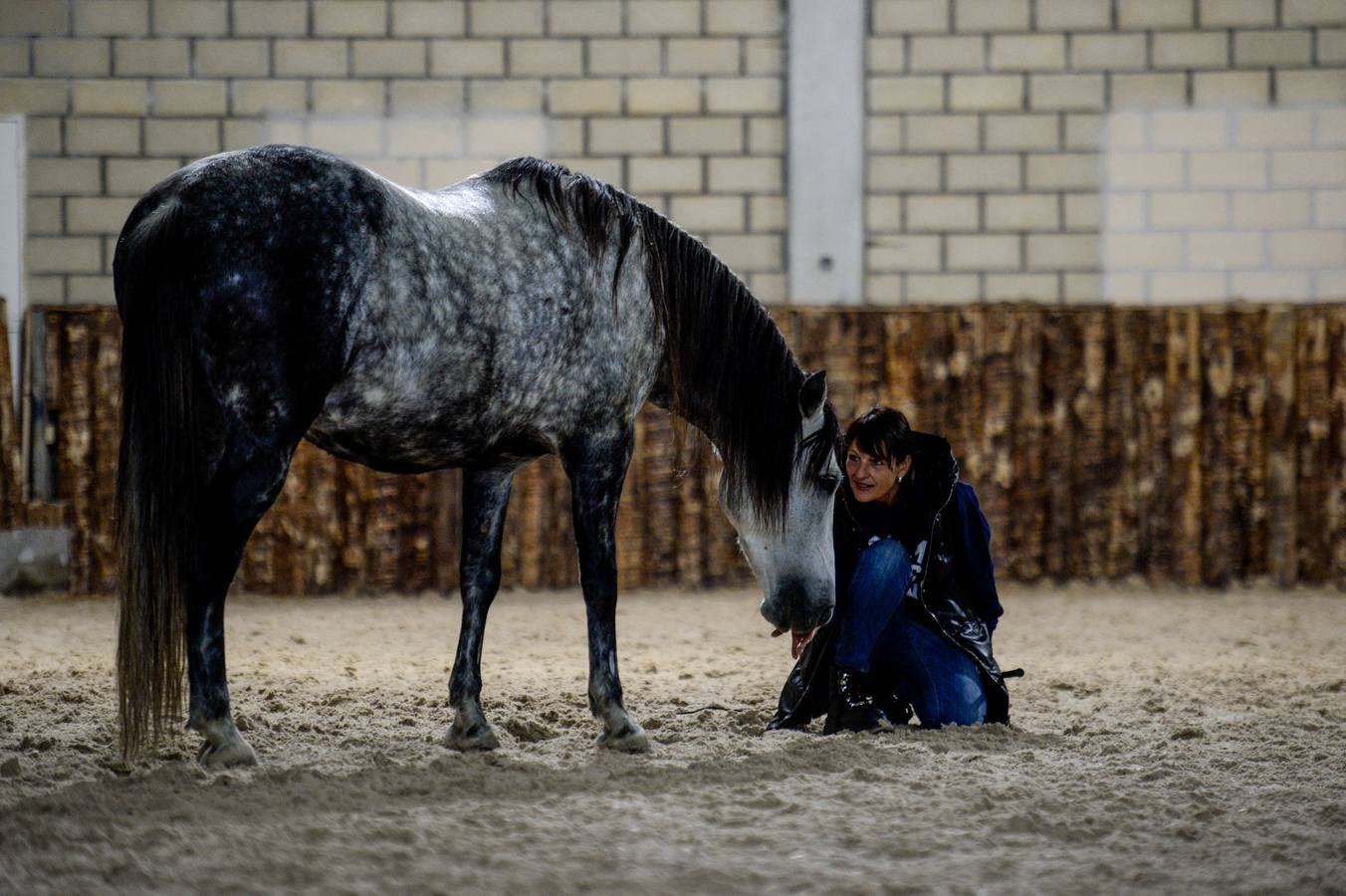 Fotos: Un &#039;spa&#039; para caballos en Euskadi