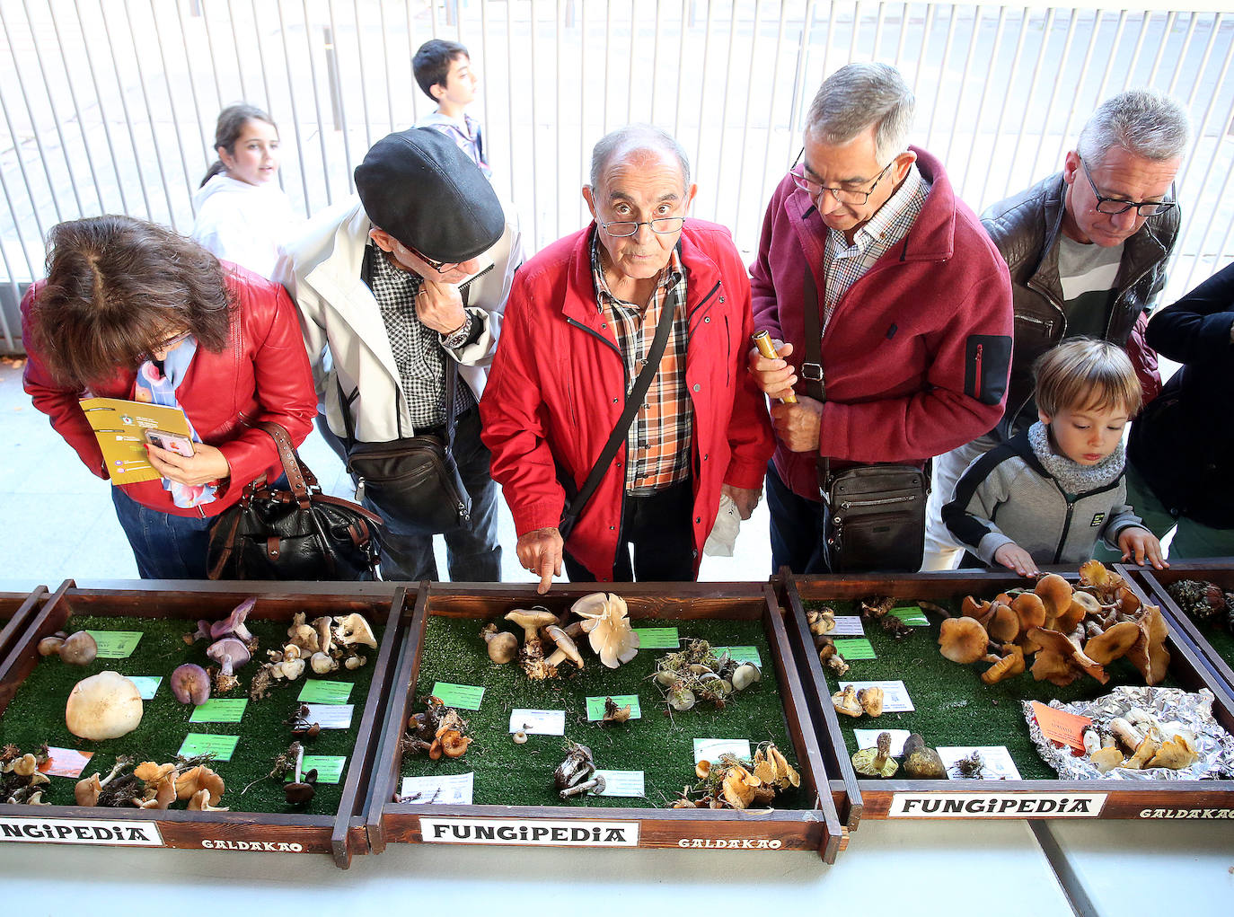 Fotos: Feria micológica en Galdakao