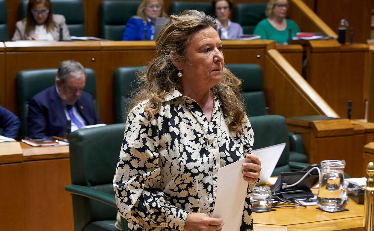 La consejera Sagardui en el Parlamento vasco. 