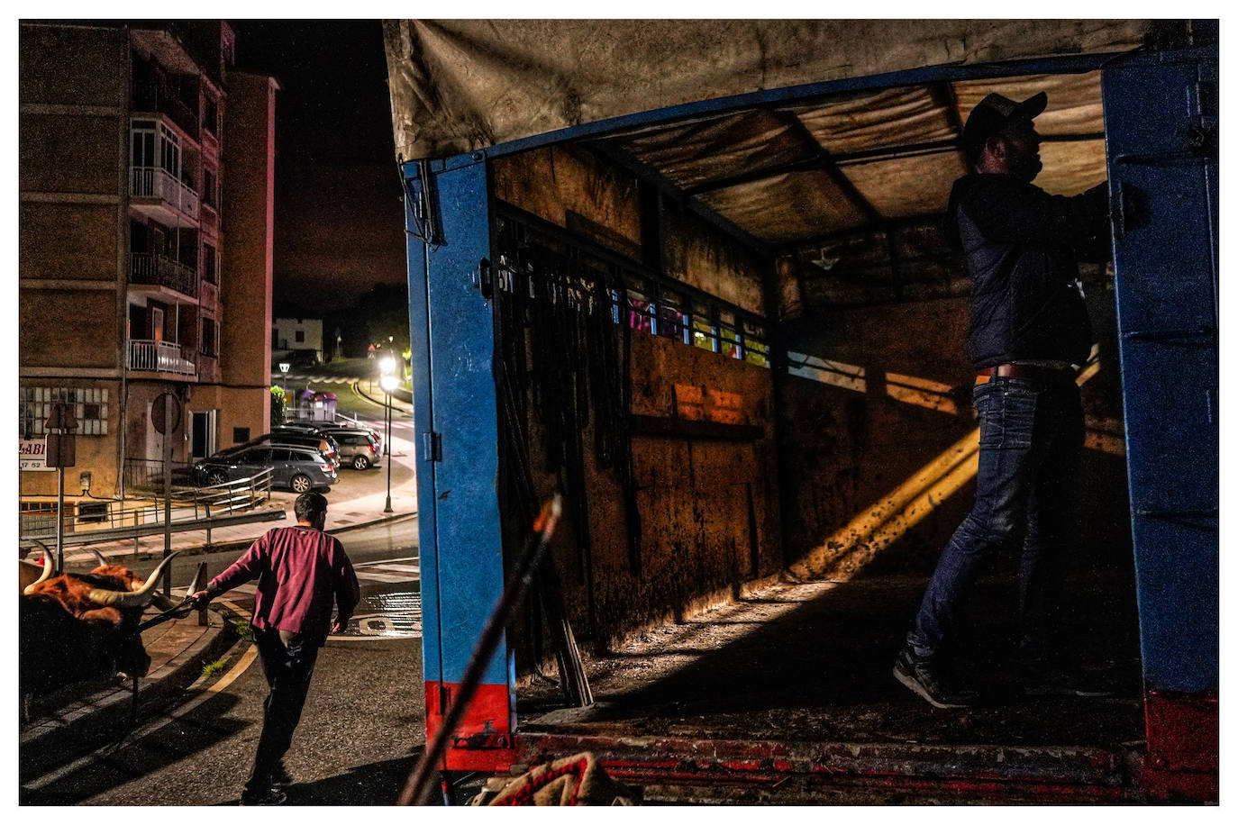 Fotos: Arrastre de bueyes en Mallabia