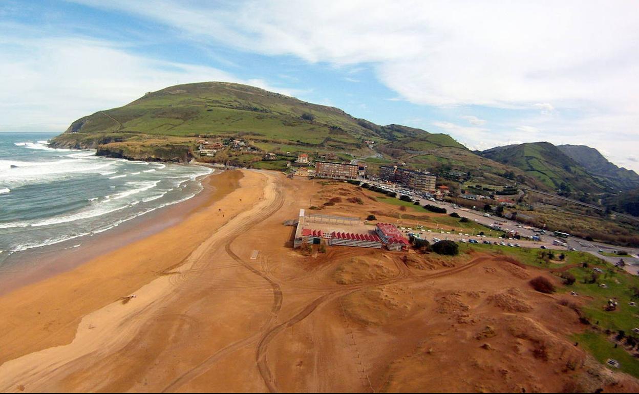 Plantas en peligro de extinción y especies invasoras en las dunas