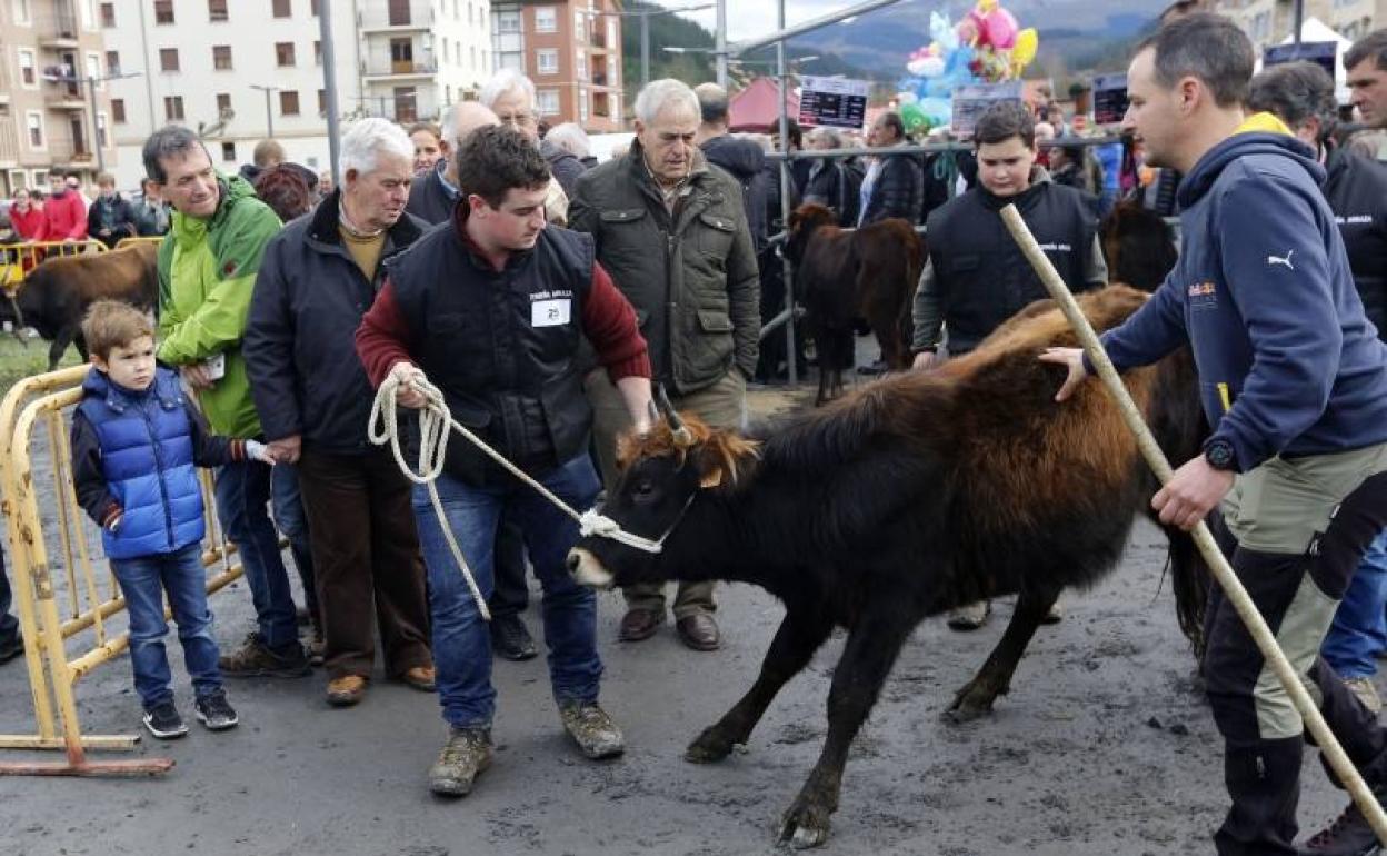 La feria de Santa Lucía atrae a centenares de personas. 