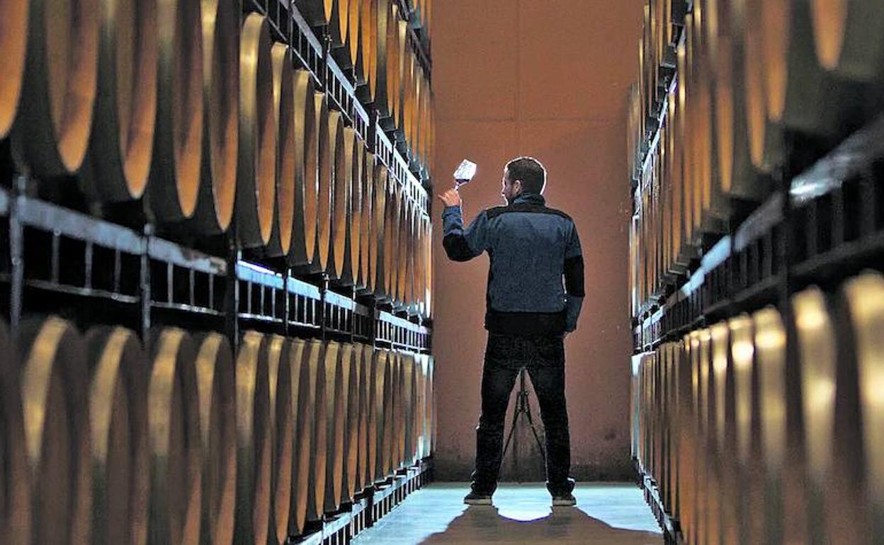 Las bodegas de la denominación admiten que no esperaban esta última caída de ventas. En Rioja Alavesa se ha notado especialmente en el periodo julio-septiembre. 