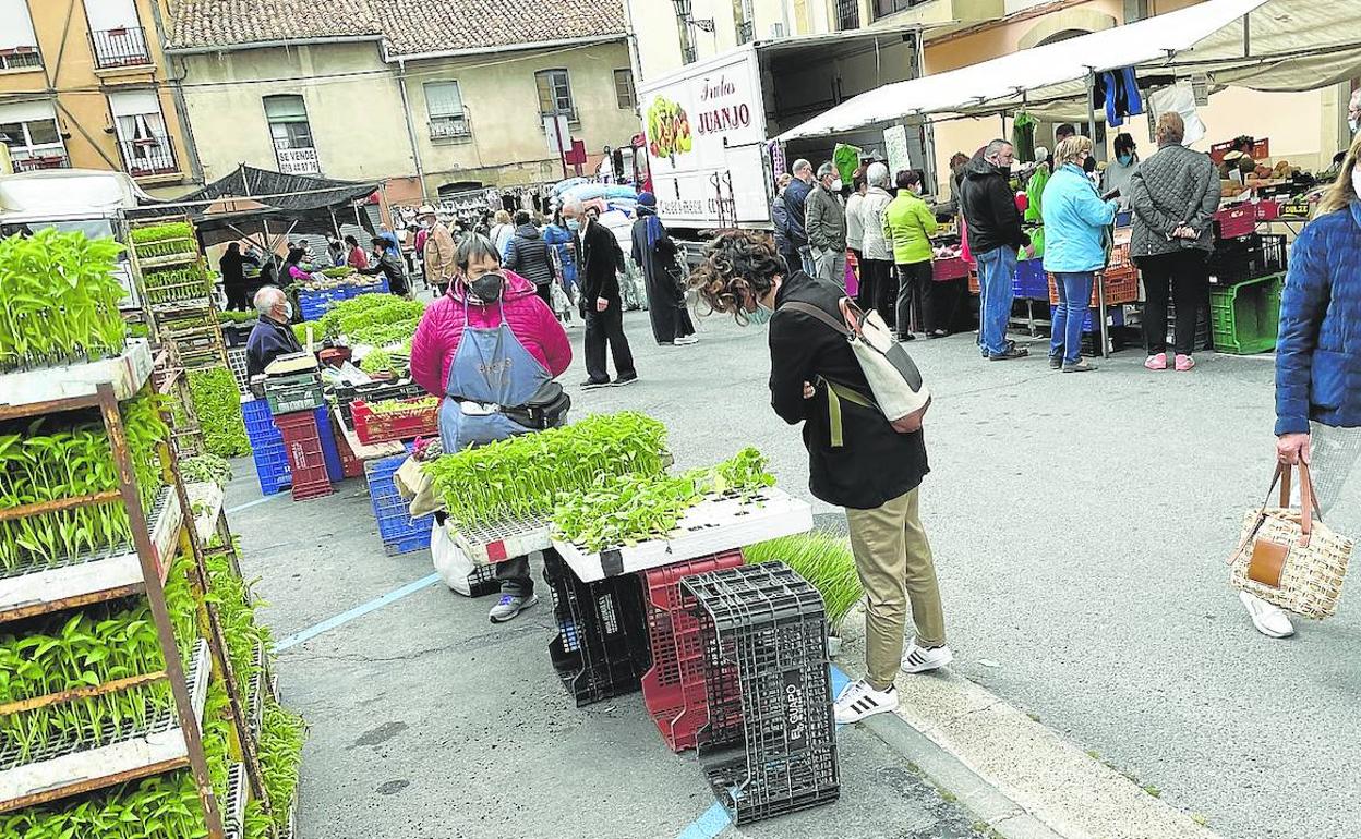 El pequeño comercio y la agricultura serían dos de los ámbitos peor parados, según los datos facilitados por el sindicato de autónomos. 