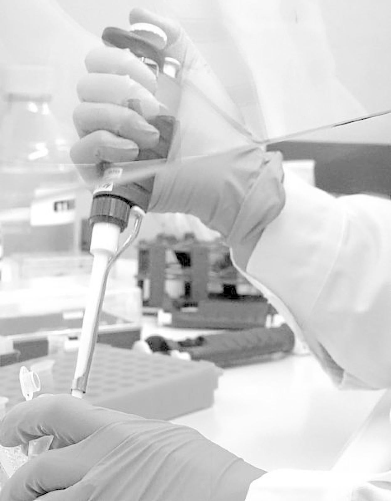 Civilizar nuestro futuro