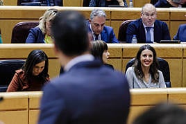 Pedro Sánchez interviene en el Senado.