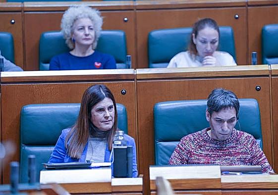 Miren Gorrotxategi y Jon Hernández, durante un pleno en el Parlamento vasco