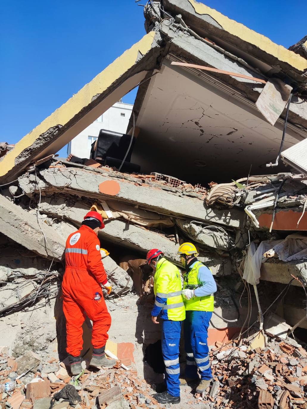 Un perro sale de entre los escombros, tras corroborar que no hay cuerpos con vida en el interior de un edificio derruido.