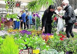 Uno de los talleres organizados se centra en la creación de un huerto urbano.