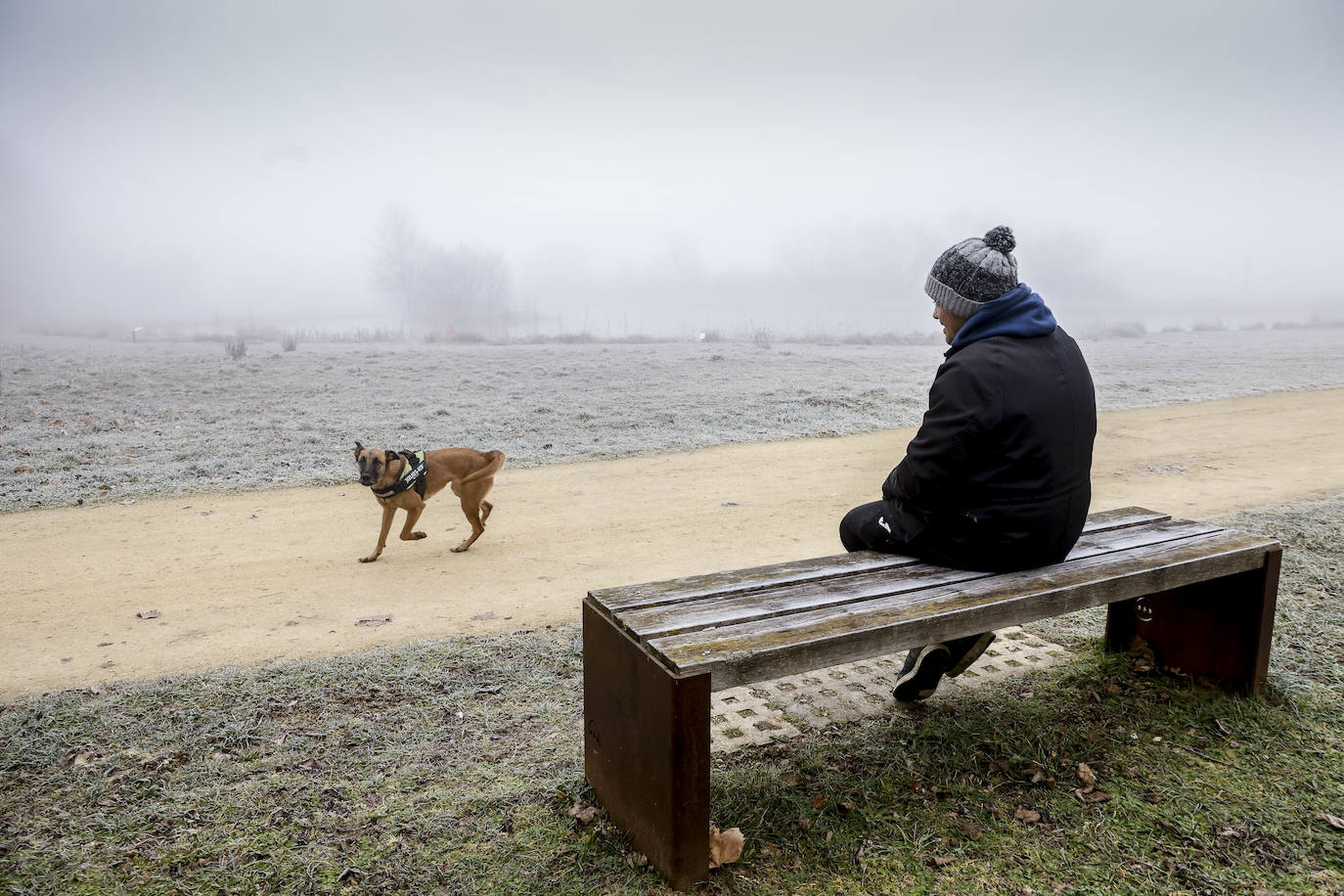 Un hombre observa a su perro en Olarizu. 