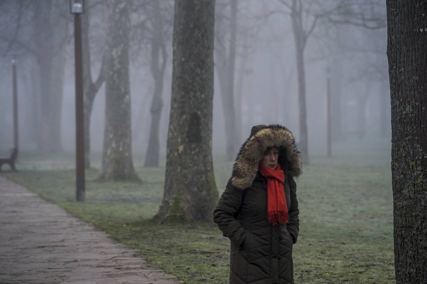 Una mujer camina por el paseo del Prado.