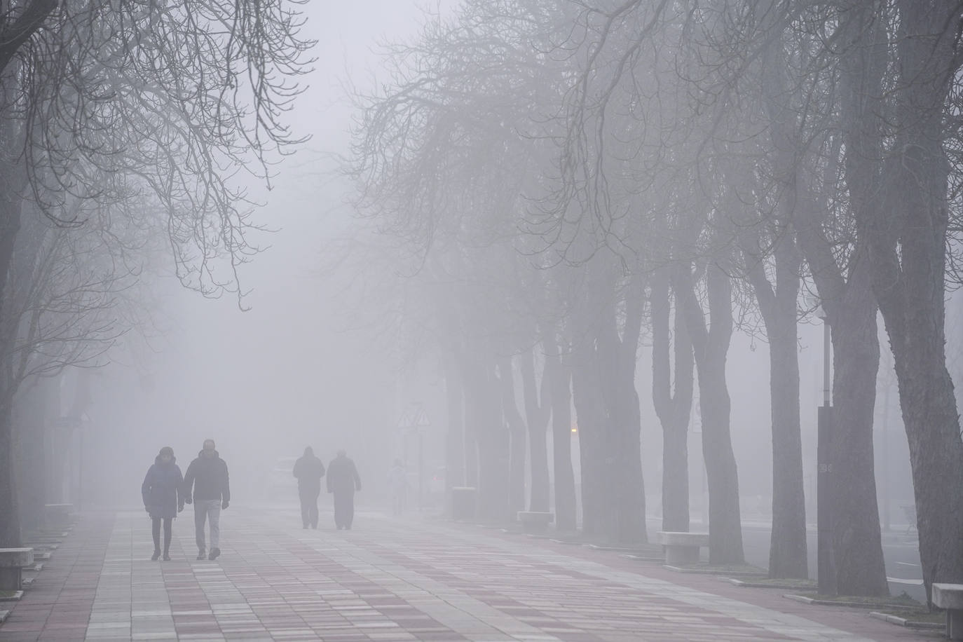 La niebla emborrona las siluetas en el paseo del Prado.