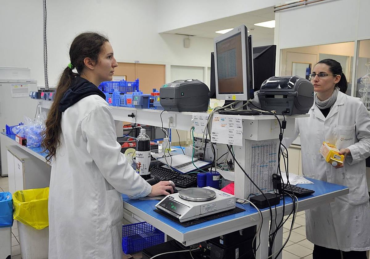 12.497 mujeres se dedican en Euskadi a I+D, el 37,2% del total