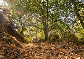 La Tierra, un hormiguero