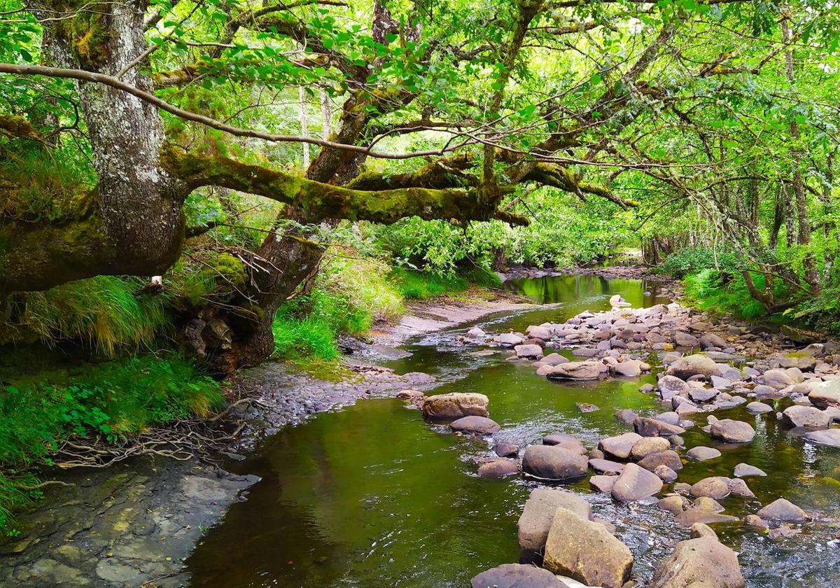 El río Baias no tiene suficiente caudal en verano para garantizar su estado ecológico