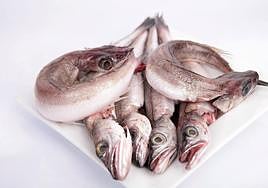 Carioca, pescado blanco sabroso