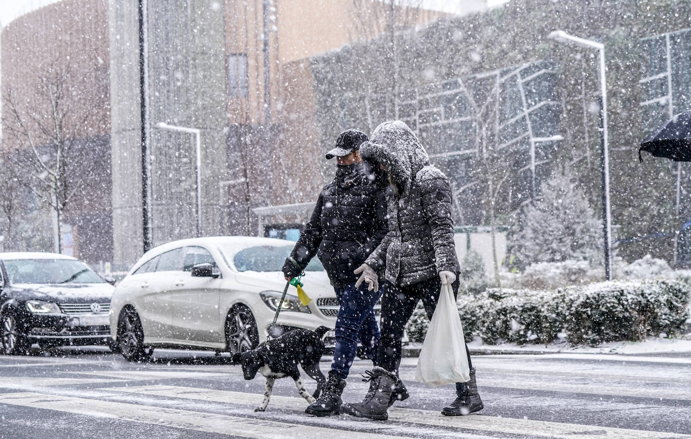 La nieve arrecia en Vitoria y dificulta la conducción en Álava