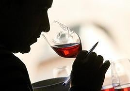 El vino vertebrará la nueva propuesta en formación e investigación que proyecta el Basque Culinary Center.