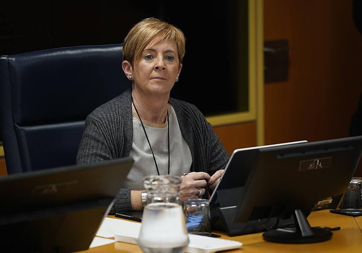 Arantxa Tapia ha comparecido esta mañana en la comisión de Desarrollo en el Parlamento vasco.