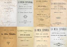 Distintas portadas y ediciones del libro de Dolores Vedia.