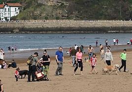 Numerosos ciudadanos han aprovechado el buen tiempo de este domingo para pasear por Ereaga.