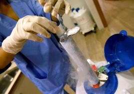 Un sanitario de una clínica de reproducción asistida maneja unos viales.