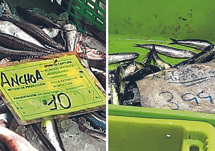 6 euros de diferencia. A la izquierda, una pescadería del centro de Bilbao. A la derecha, Mercado de la Ribera.