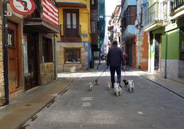 Un vecino de Bermeo pasea a sus seis mascotas por las calles del Casco Viejo de la localidad costera.