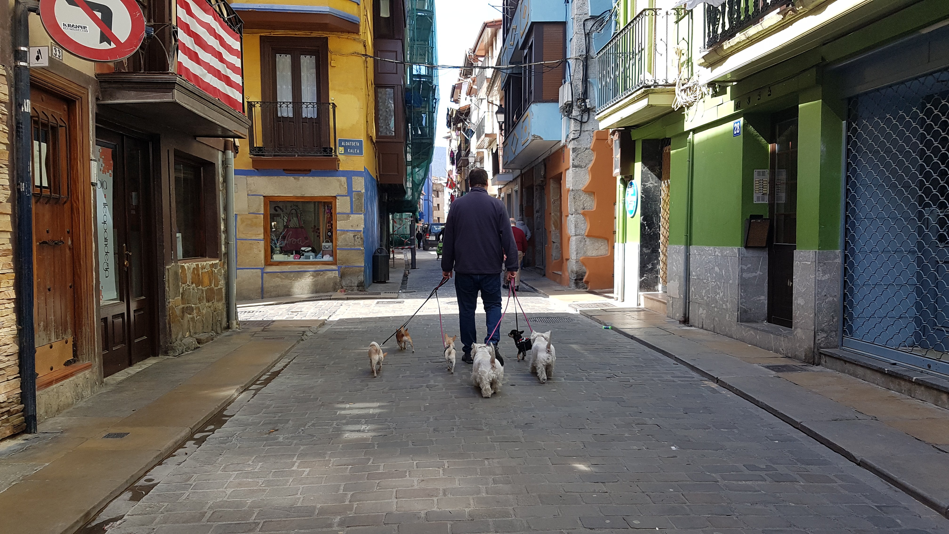 Un vecino de Bermeo pasea a sus seis mascotas por las calles del Casco Viejo de la localidad costera.