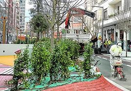 Plantación de los últimos árboles en el tramo renaturalizado de María Díaz de Haro, ayer por la mañana.