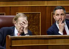 Ramón Tamames y Santiago Abascal, este miércoles en el Congreso.