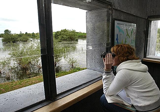Observatorio de aves de Mendixur.