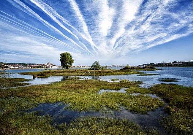 Humedal de Plaiaundi.