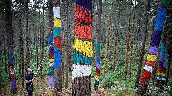 El Bosque de Oma recupera las visitas mientras pintan los 19 árboles que faltan