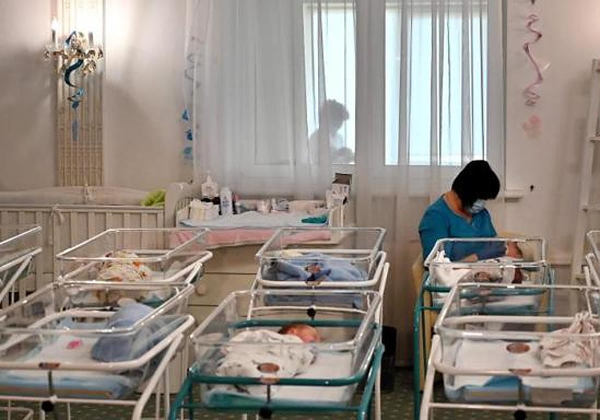 Claves de la gestación subrogada: ¿dónde es legal?, ¿cuáles son los requisitos?, ¿cuánto cuesta?