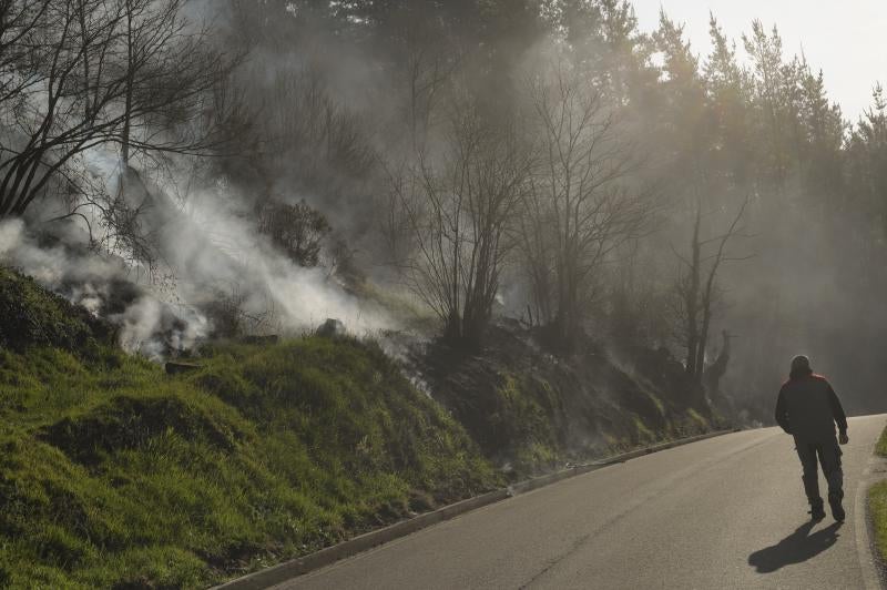 Humo en una parte de un monte ya quemada