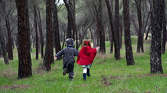 Cuéntame un cuento y nos vamos de viaje