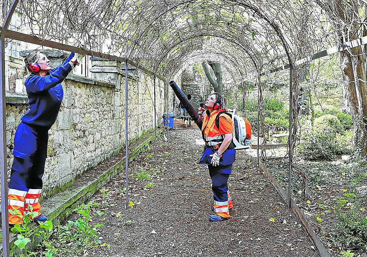 El alumnado de la primera fase trabajaba ayer en el Jardín de Don Lope.