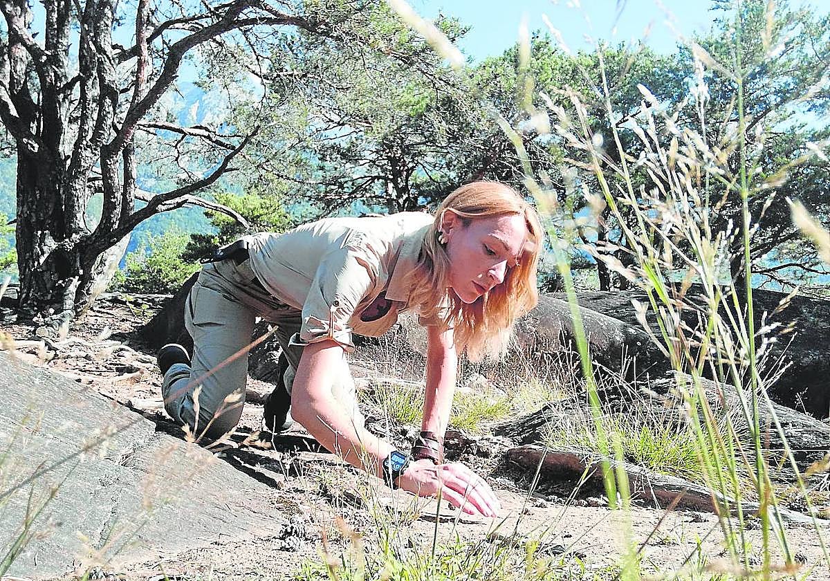 Lyn examina las huellas en busca de senderistas extraviados, fugitivos o delincuentes.